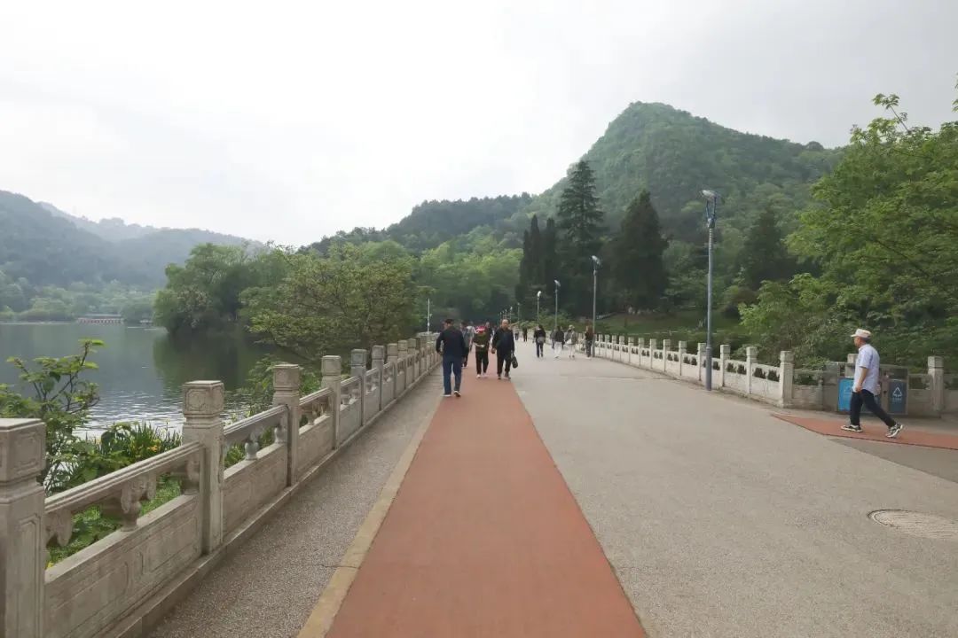 DƬ